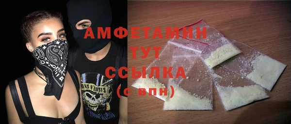 гидра Надым