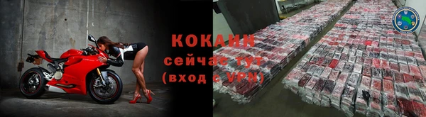 гидра Надым