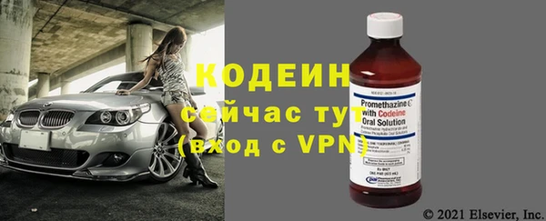 гидра Надым