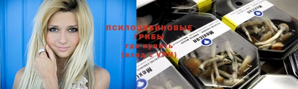 гидра Надым