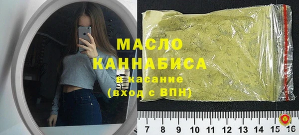 гидра Надым