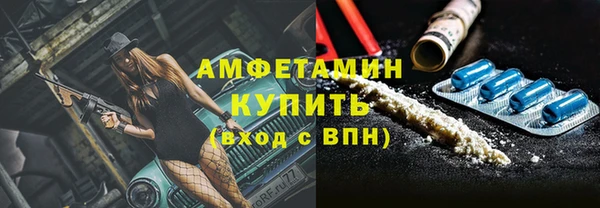 гидра Надым