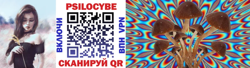Галлюциногенные грибы Psilocybe  блэк спрут зеркало  маркетплейс формула  как найти закладки  Орёл 
